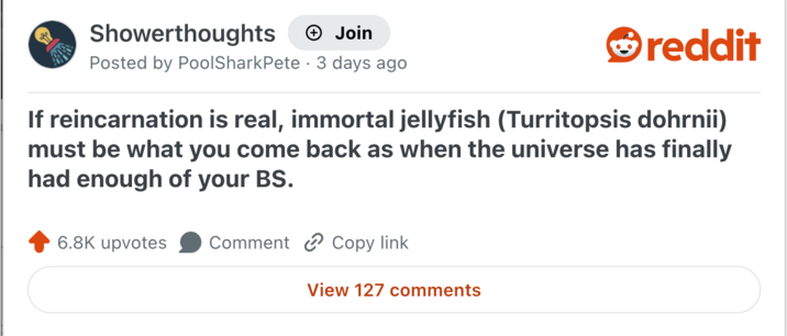Showerthoughts +→ Join Posted by PoolSharkPete 3 days ago reddit If reincarnation is real, immortal jellyfish (Turritopsis dohrnii) must be what you come back as when the universe has finally had enough of your BS. 6.8K upvotes Comment Copy link View 127 comments
