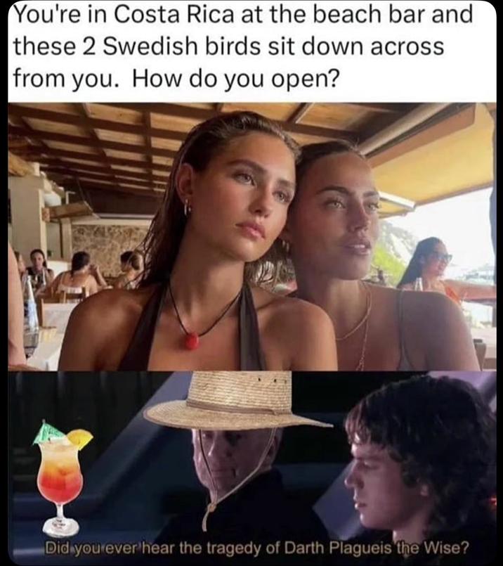 You're in Costa Rica at the beach bar and these 2 Swedish birds sit down across. from you. How do you open? Did you ever hear the tragedy of Darth Plagueis the Wise?