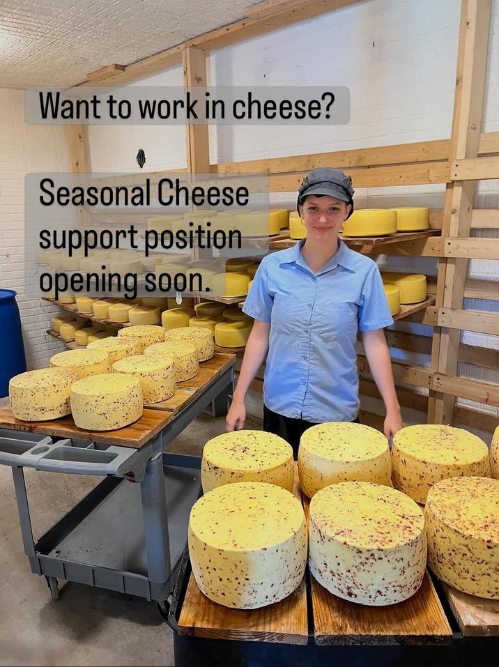 Want to work in cheese? Seasonal Cheese support position opening soon.