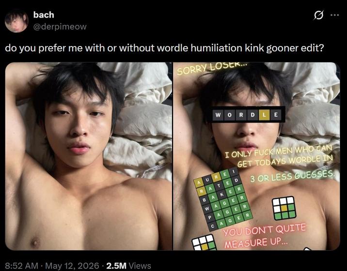 bach @derpimeow do you prefer me with or without wordle humiliation kink gooner edit? SORRY LOSER... WORDLE .. 8:52 AM - May 12, 2026 2.5M Views I ONLY F--- MEN WHO CAN GET TODAYS WORDLE IN AUREI RATED BAKER WAGER PAGER CAGER 3 OR LESS GUESSES YOU DON'T QUITE MEASURE UP...