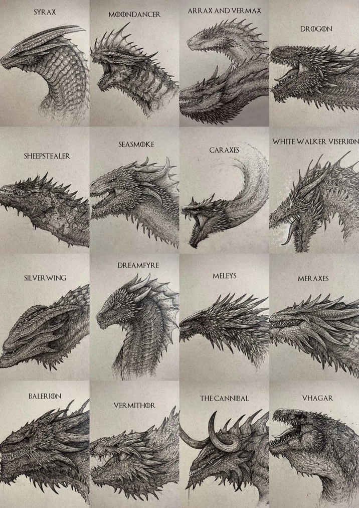 SYRAX ARRAX AND VERMAX MOONDANCER DROGON SEASMOKE WHITE WALKER VISERION CARAXES SHEEPSTEALER DREAMFYRE MELEYS SILVER WING MERAXES BALERION THE CANNIBAL VHAGAR VERMITHOR