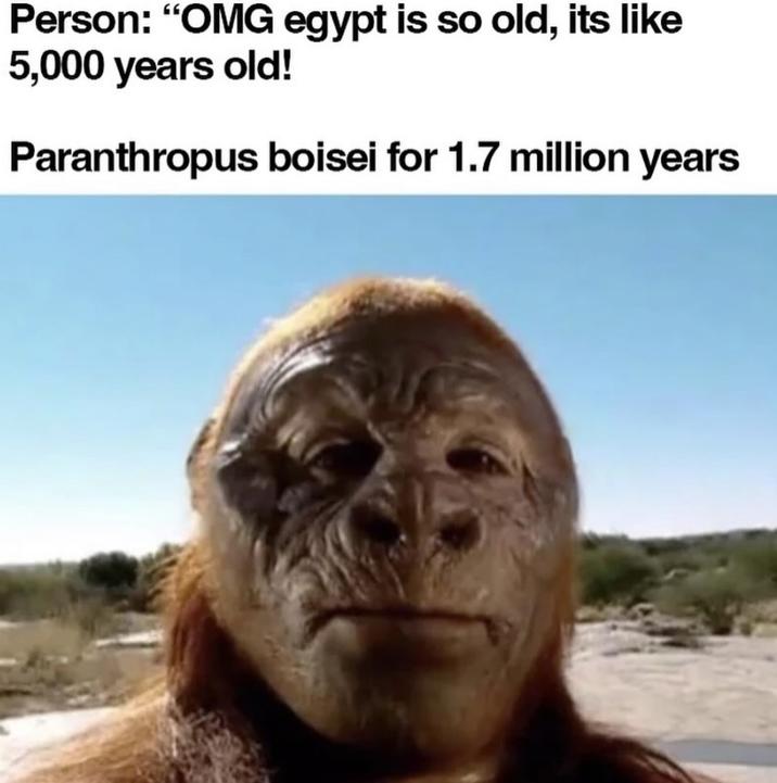 Person: "OMG egypt is so old, its like 5,000 years old! Paranthropus boisei for 1.7 million years