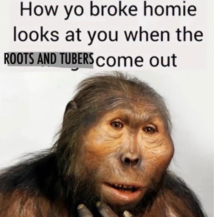 How yo broke homie looks at you when the ROOTS AND TUBERS come out