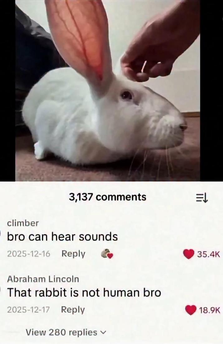 climber 3,137 comments EL bro can hear sounds 2025-12-16 Reply Abraham Lincoln That rabbit is not human bro 2025-12-17 Reply View 280 replies 35.4K 18.9K