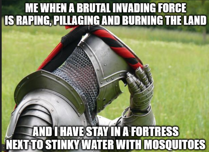 ME WHEN A BRUTAL INVADING FORCE IS R-----, PILLAGING AND BURNING THE LAND AND I HAVE STAY IN A FORTRESS NEXT TO STINKY WATER WITH MOSQUITOES