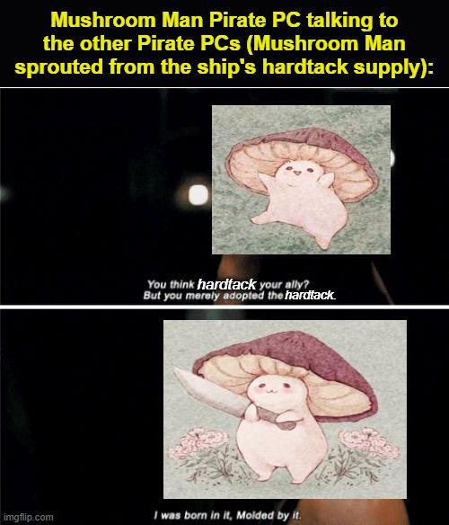Mushroom Man Pirate PC talking to the other Pirate PCs (Mushroom Man sprouted from the ship's hardtack supply): You think hardtack your ally? But you merely adopted the hardfack. imgflip.com I was born in it, Molded by it.
