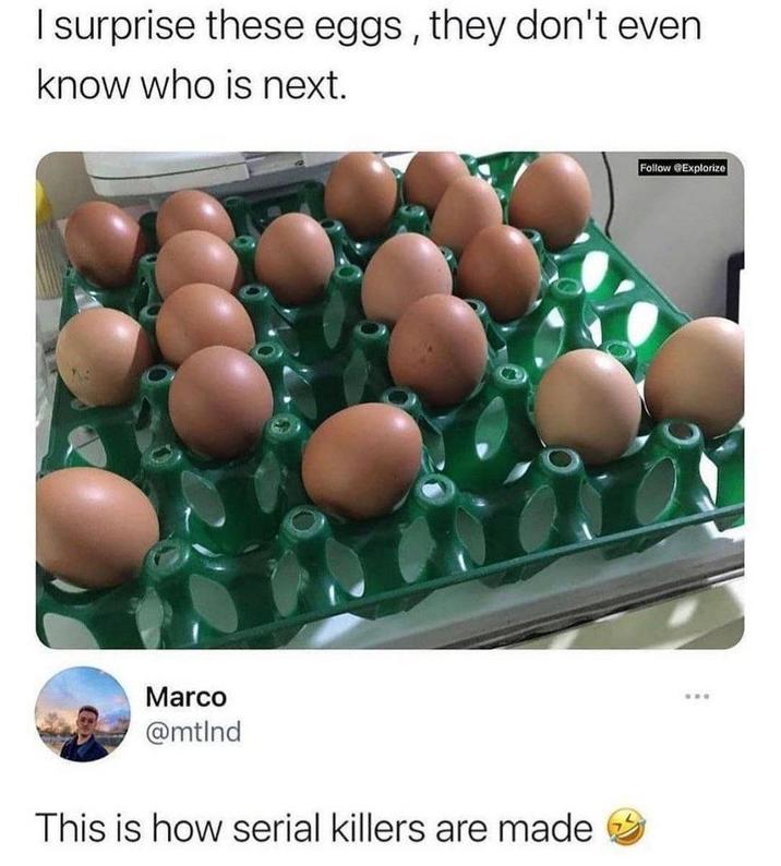 I surprise these eggs, they don't even know who is next. Marco @mtind This is how serial killers are made Follow @Explorize