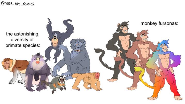 @WISE_APE_COMICS the astonishing diversity of primate species: い monkey fursonas: