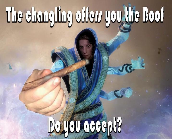 The changling offers you the Boof 2966 Do you accept?