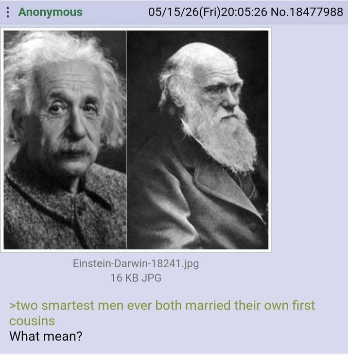 Anonymous 05/15/26(Fri) 20:05:26 No.18477988 Einstein-Darwin-18241.jpg 16 KB JPG >two smartest men ever both married their own first cousins What mean?