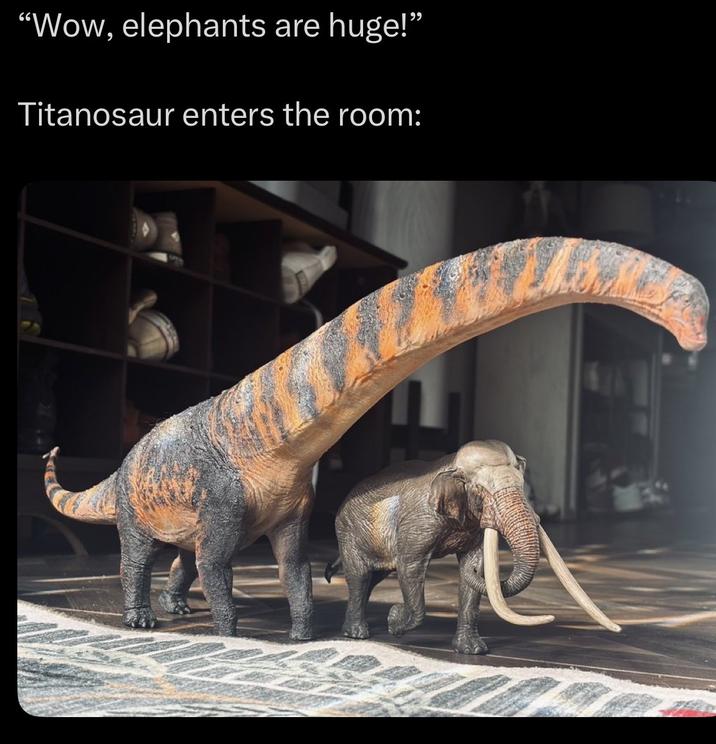 "Wow, elephants are huge!" Titanosaur enters the room: