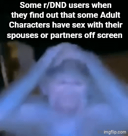Some r/DND users when they find out that some Adult Characters have sex with their spouses or partners off screen imgflip.com