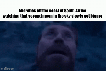 Microbes off the coast of South Africa watching that second moon in the sky slowly get bigger imgflip.com