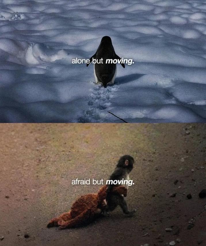 alone but moving. afraid but moving.
