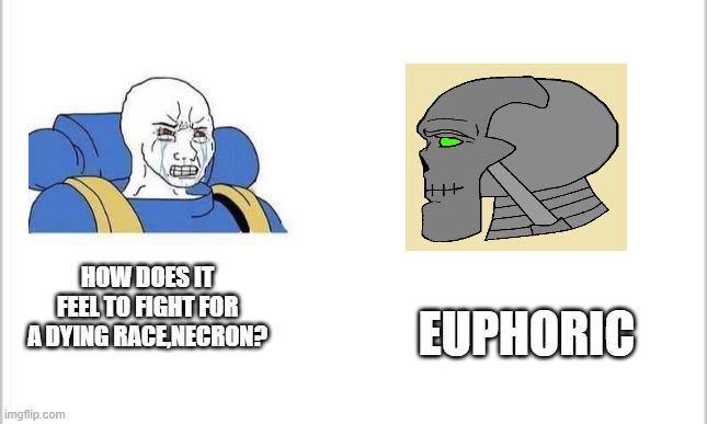 HOW DOES IT FEEL TO FIGHT FOR A DYING RACE NECRON? EUPHORIC imgflip.com