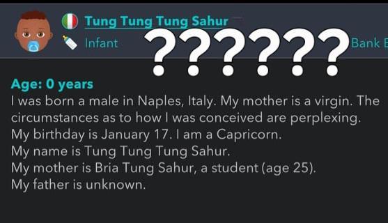 Tung Tung Tung Sahur Infant Age: 0 years ?????? Bank E I was born a male in Naples, Italy. My mother is a virgin. The circumstances as to how I was conceived are perplexing. My birthday is January 17. I am a Capricorn. My name is Tung Tung Tung Sahur. My mother is Bria Tung Sahur, a student (age 25). My father is unknown.