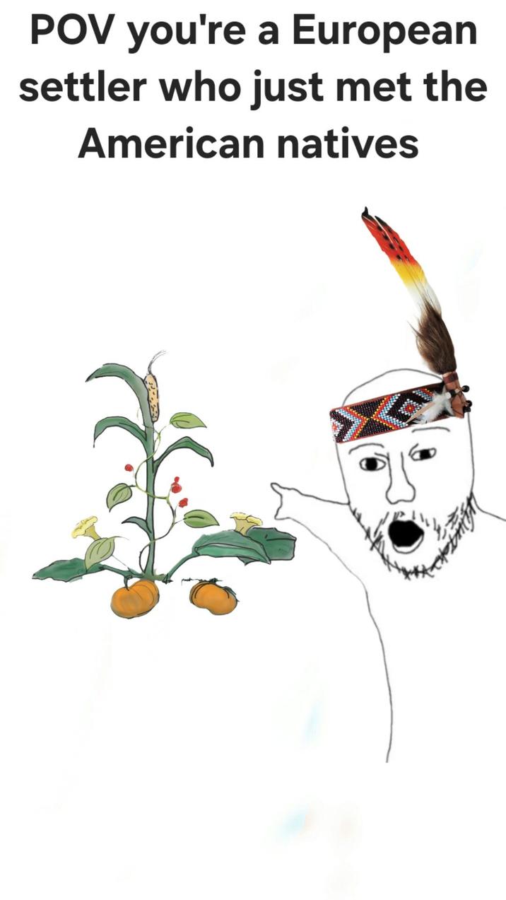 POV you're a European settler who just met the American natives
