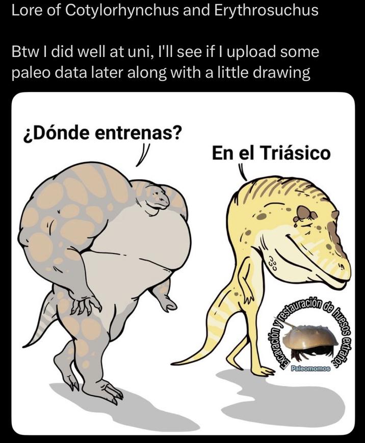 Lore of Cotylorhynchus and Erythrosuchus Btw I did well at uni, I'll see if I upload some paleo data later along with a little drawing ¿Dónde entrenas? En el Triásico 330 estauración de hues Paleomomos extraños