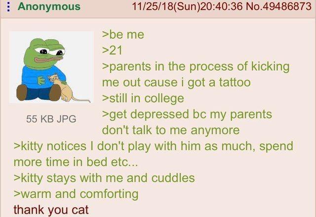 Anonymous 55 KB JPG 11/25/18(Sun)20:40:36 No.49486873 >be me >21 >parents in the process of kicking me out cause i got a tattoo >still in college >get depressed bc my parents don't talk to me anymore >kitty notices I don't play with him as much, spend more time in bed etc... >kitty stays with me and cuddles >warm and comforting thank you cat