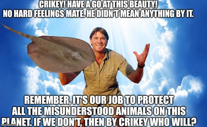 CRIKEY! HAVE A GO AT THIS BEAUTY! NO HARD FEELINGS MATE. HE DIDN'T MEAN ANYTHING BY IT. REMEMBER, IT'S OUR JOB TO PROTECT ALL THE MISUNDERSTOOD ANIMALS ON THIS PLANET. IF WE DON'T, THEN BY CRIKEY WHO WILL?
