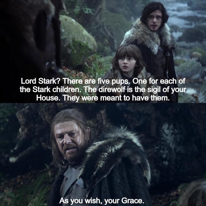 Lord Stark? There are five pups. One for each of the Stark children. The direwolf is the sigil of your House. They were meant to have them. As you wish, your Grace.