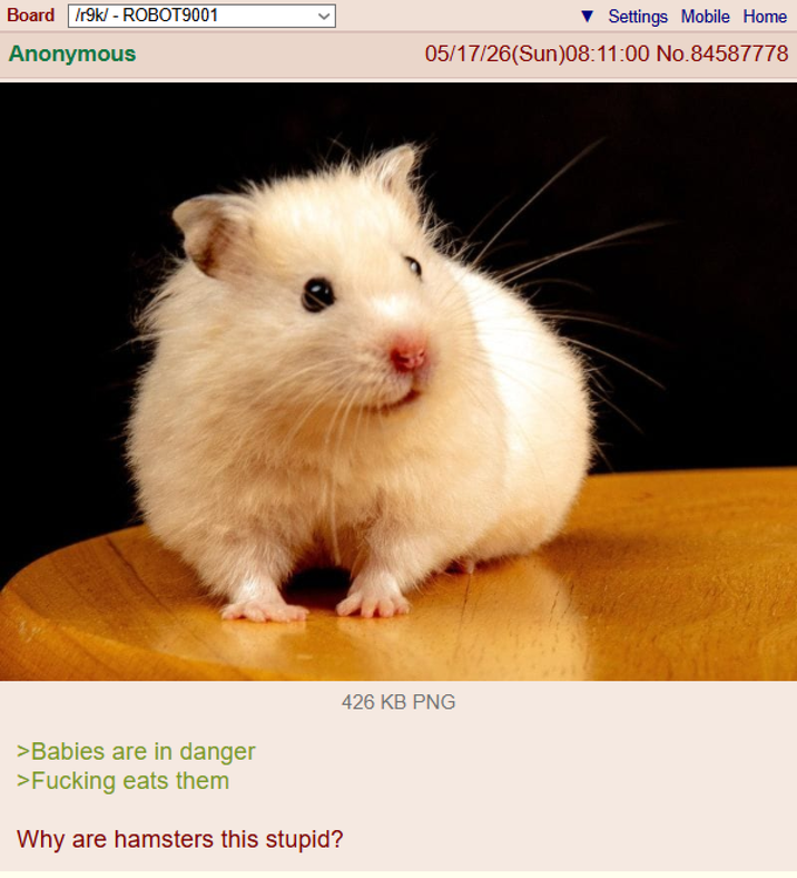 Board /r9k/ - ROBOT9001 Anonymous >Babies are in danger >F------ eats them Why are hamsters this stupid? Settings Mobile Home 05/17/26(Sun)08:11:00 No.84587778 426 KB PNG