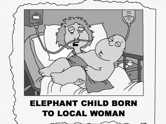 ELEPHANT CHILD BORN TO LOCAL WOMAN