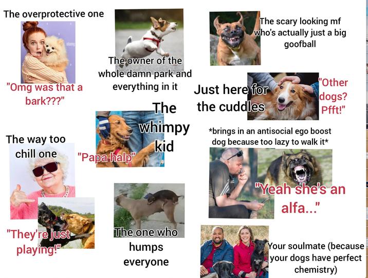 The overprotective one The scary looking mf who's actually just a big goofball alamy alamy The owner of the whole damn park and "Other "Omg was that a everything in it Just here for dogs? bark???" The the cuddles Pfft!" whimpy The way too kid *brings in an antisocial ego boost dog because too lazy to walk it* chill one "Papa halp" "They're just playing!" "Yeah she's an alfa..." The one who humps everyone Your soulmate (because your dogs have perfect chemistry)