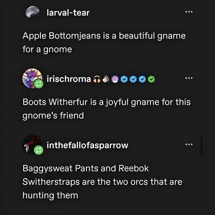 larval-tear Apple Bottomjeans is a beautiful gname for a gnome 000 irischroma Boots Witherfur is a joyful gname for this gnome's friend inthefallofasparrow Baggysweat Pants and Reebok Switherstraps are the two orcs that are hunting them 000