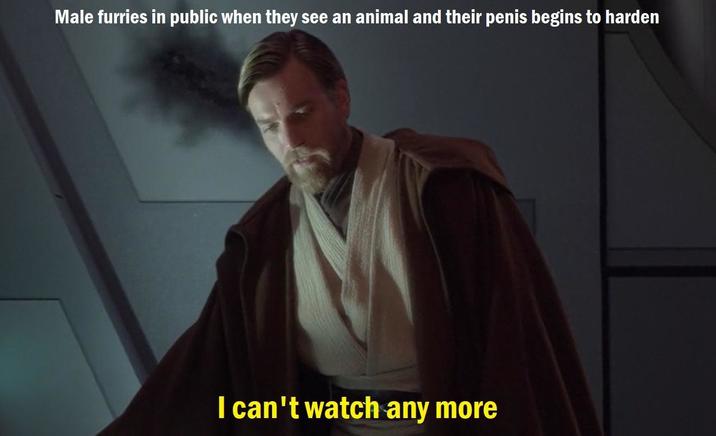 Male furries in public when they see an animal and their penis begins to harden I can't watch any more