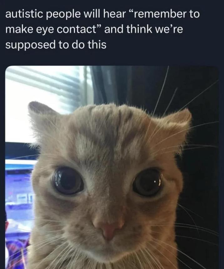 autistic people will hear "remember to make eye contact" and think we're supposed to do this