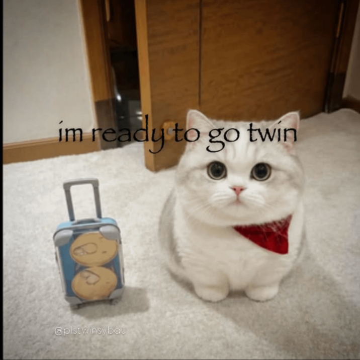 im ready to go twin @pist winsybau