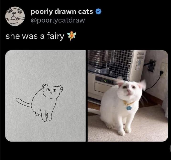 poorly drawn cats @poorlycatdraw she was a fairy