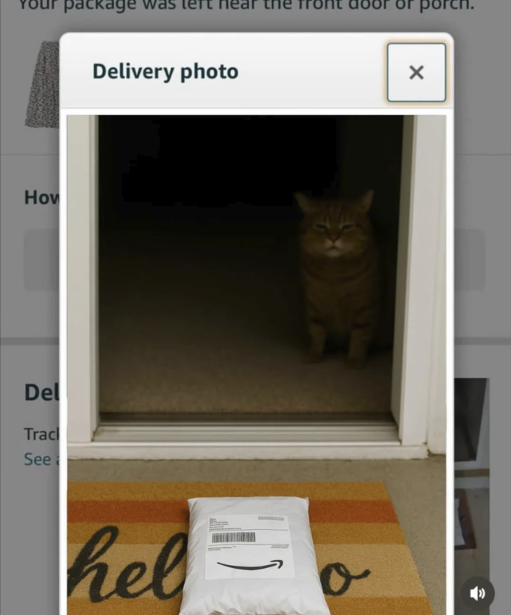 How Del Tracl See package was te Delivery photo hel 0 porch.
