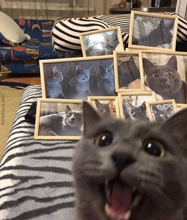 PICTOPHILE APP