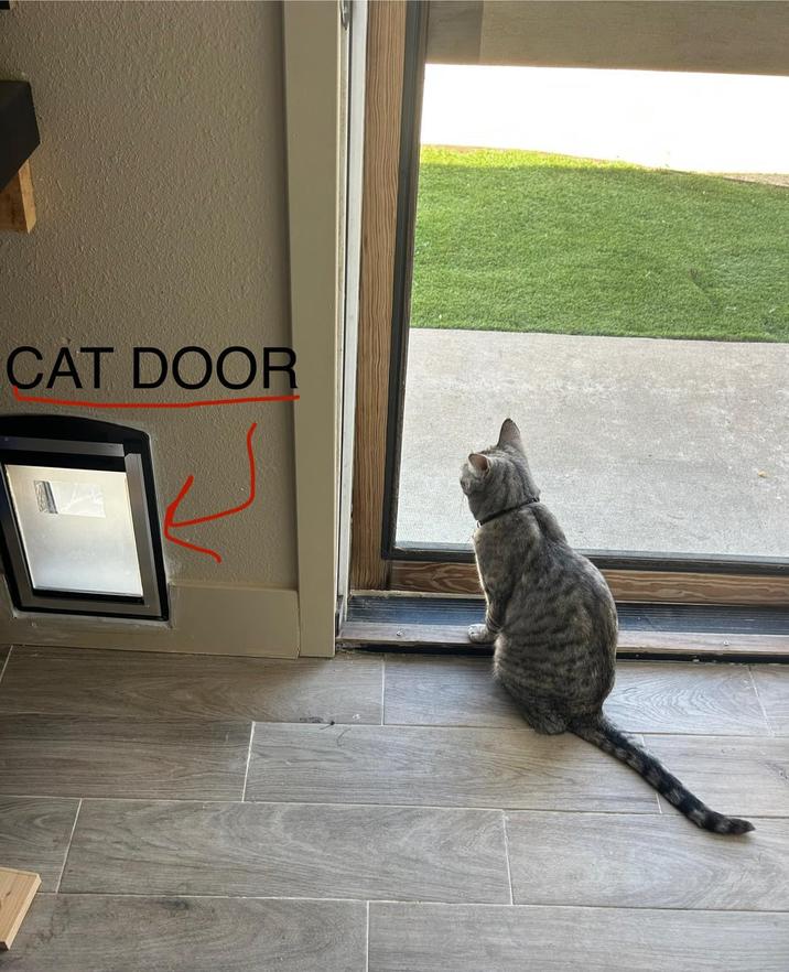 CAT DOOR