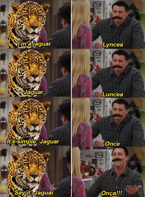 I'm a jaguar E Lyncea E Jaguar Luncea It's simple: Jaguar Once Say its Jaguar Onça!!!