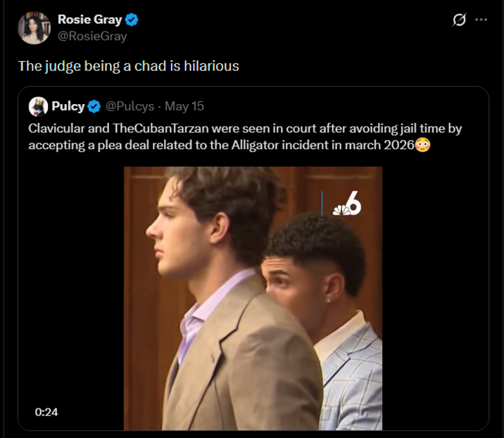 Rosie Gray @RosieGray The judge being a chad is hilarious Pulcy @Pulcys - May 15 Clavicular and TheCubanTarzan were seen in court after avoiding jail time by accepting a plea deal related to the Alligator incident in march 2026 0:24