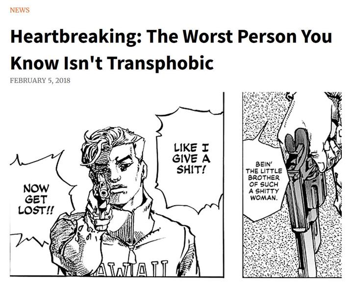 NEWS Heartbreaking: The Worst Person You Know Isn't Transphobic FEBRUARY 5, 2018 NOW GET LOST!! LIKE I GIVE A S---! BEIN' THE LITTLE BROTHER OF SUCH A S----- WOMAN. AWTAIL