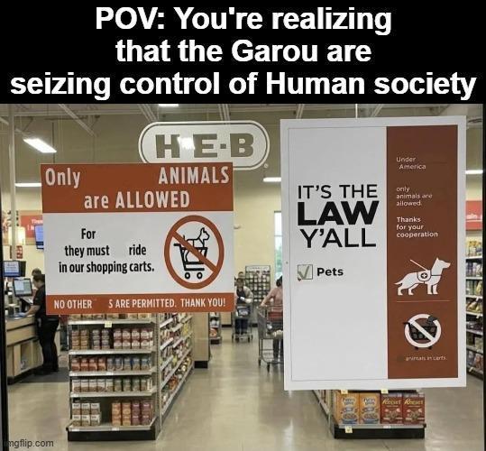 POV: You're realizing that the Garou are seizing control of Human society Only HE-B ANIMALS are ALLOWED For they must ride in our shopping carts. NO OTHER S ARE PERMITTED. THANK YOU! IT'S THE LAW Y'ALL Pets Under America only animals are allowed. Thanks for your cooperation mgflip.com D animals incent