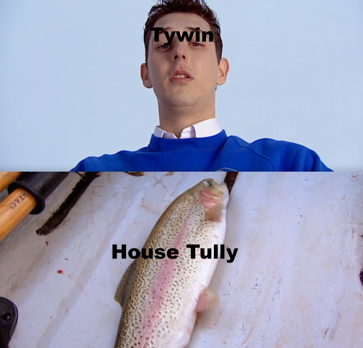 COPIN Tywin House Tully