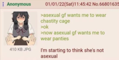 Anonymous 410 KB JPG 01/01/22(Sat)11:45:42 No.66801635 >asexual gf wants me to wear chastity cage >ok >now asexual gf wants me to wear panties I'm starting to think she's not asexual