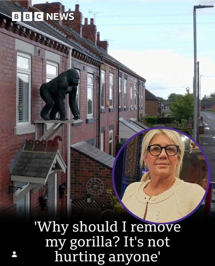 BBC NEWS 'Why should I remove my gorilla? It's not hurting anyone' WITKYKYA