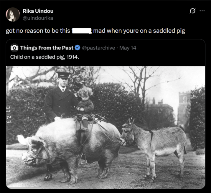 Rika Uindou @uindourika 0 got no reason to be this mad when youre on a saddled pig Things From the Past ✪ @pastarchive · May 14 Child on a saddled pig, 1914. 37123