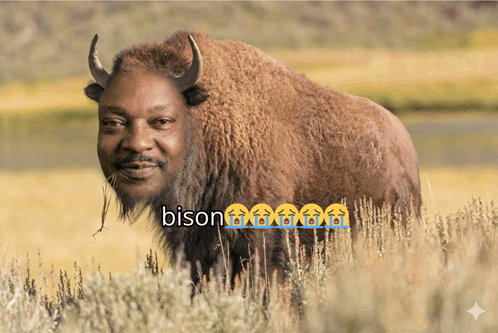 bison@6000