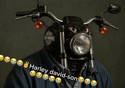 NOTOR E-AVIDSON Harley david-son
