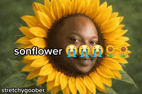 sonflower stretchygoober
