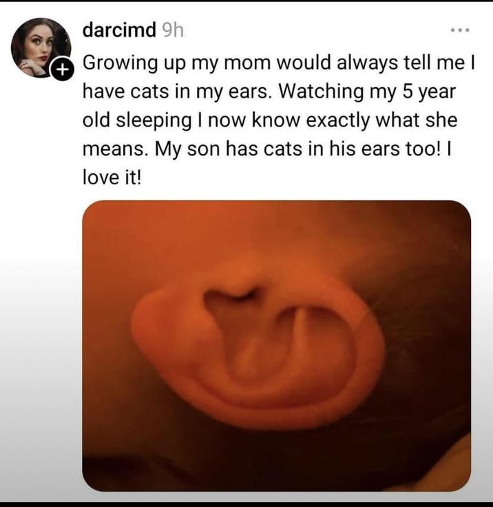 darcimd 9h + Growing up my mom would always tell me I have cats in my ears. Watching my 5 year old sleeping I now know exactly what she means. My son has cats in his ears too! I love it!