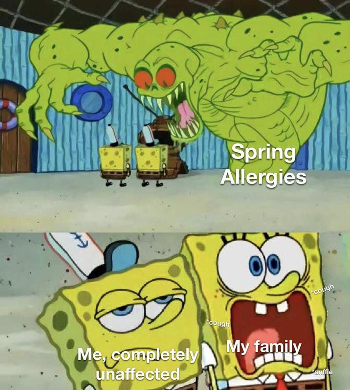 Me, completely unaffected Spring Allergies *cough *cough My family *snffle