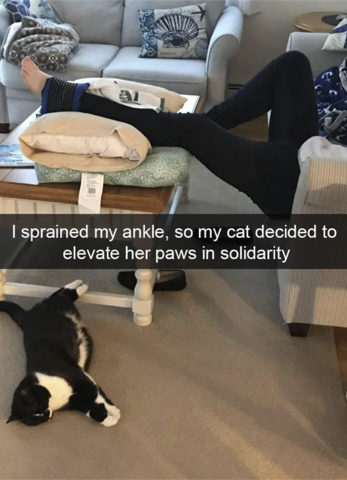 I sprained my ankle, so my cat decided to elevate her paws in solidarity